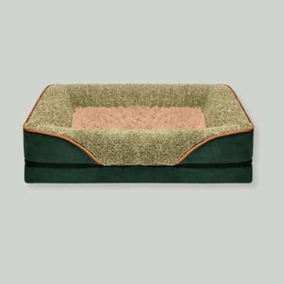 coussin chien vert