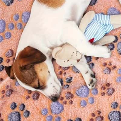 couverture pour chien PetConfort