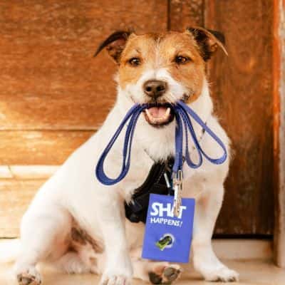 distributeur-de-sacs-à-crottes-pour-chien-BagDog