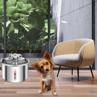 fontaine-a-eau-pour-chien-fountain-pratique