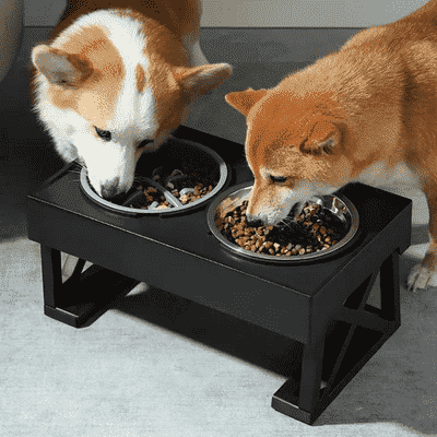 gamelle chien surélevée TallBowl anti glouton
