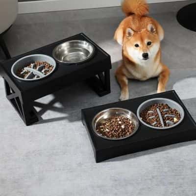 gamelle chien surélevée TallBowl durable