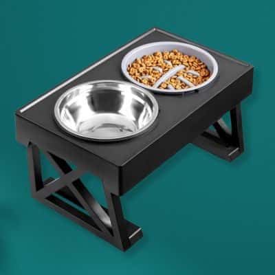 gamelle chien surélevée TallBowl gamelle alimentation lente