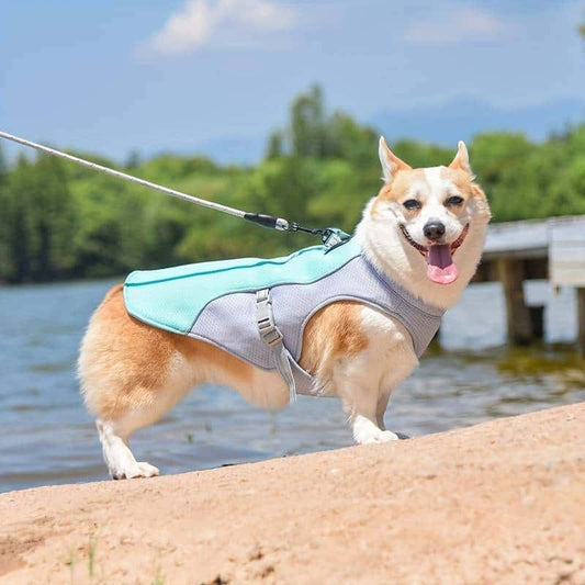 gilet-rafraichissant-chien-SummerDog