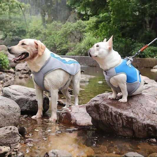 gilet-rafraichissant-pour-chien-VestFresh