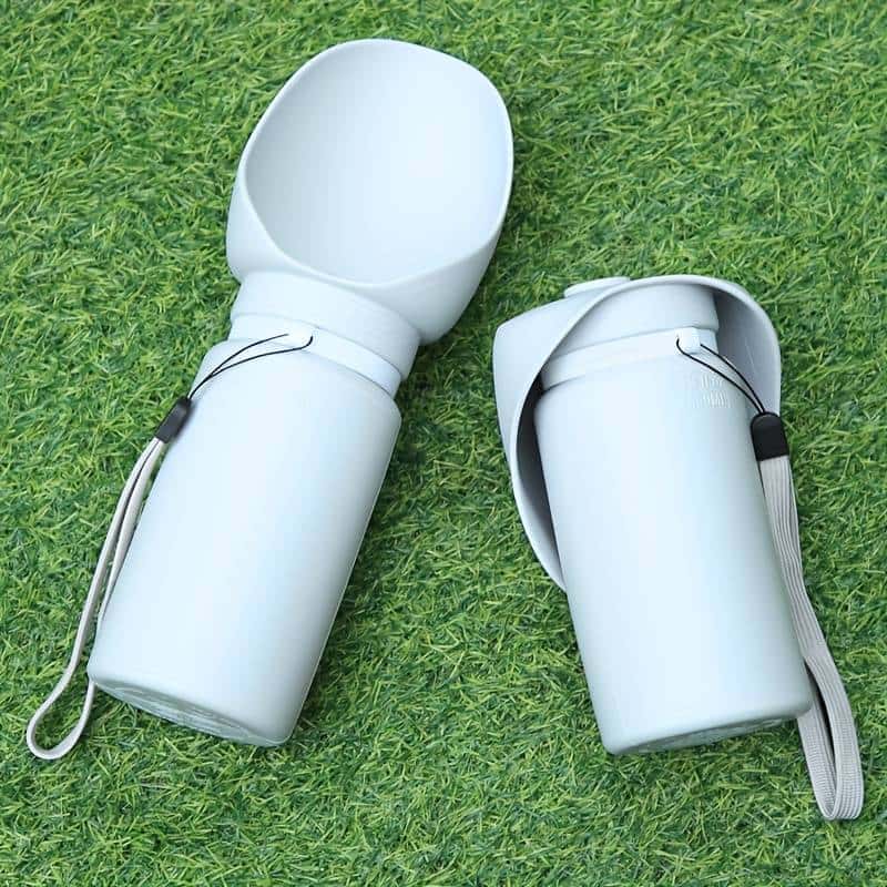 gourde-pour-chien-BottlePet-incassable