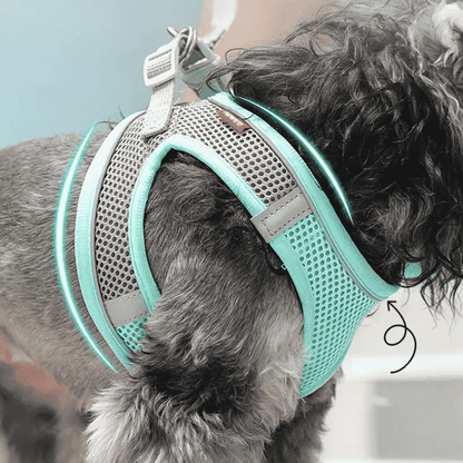 harnais chien Puly vert