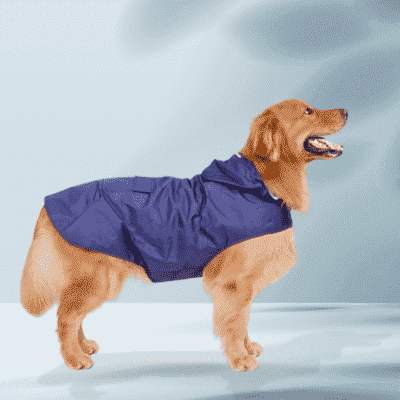  impermeable-pour-chien-bleu
