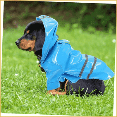 impermeable-pour-chien-confortable