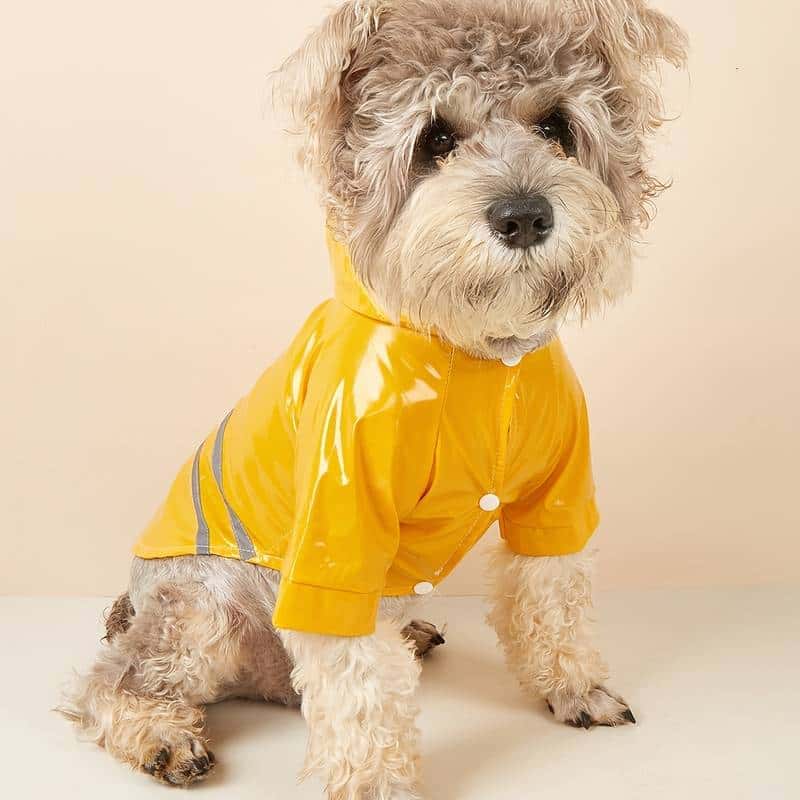 impermeable-pour-chien-jaune