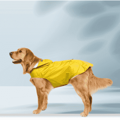 impermeable-pour-chien-jaune
