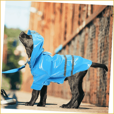 impermeable-pour-chien-joli