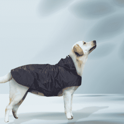  impermeable-pour-chien-noir