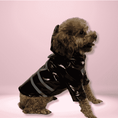  impermeable-pour-chien-noir
