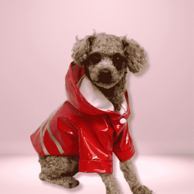  impermeable-pour-chien-rouge