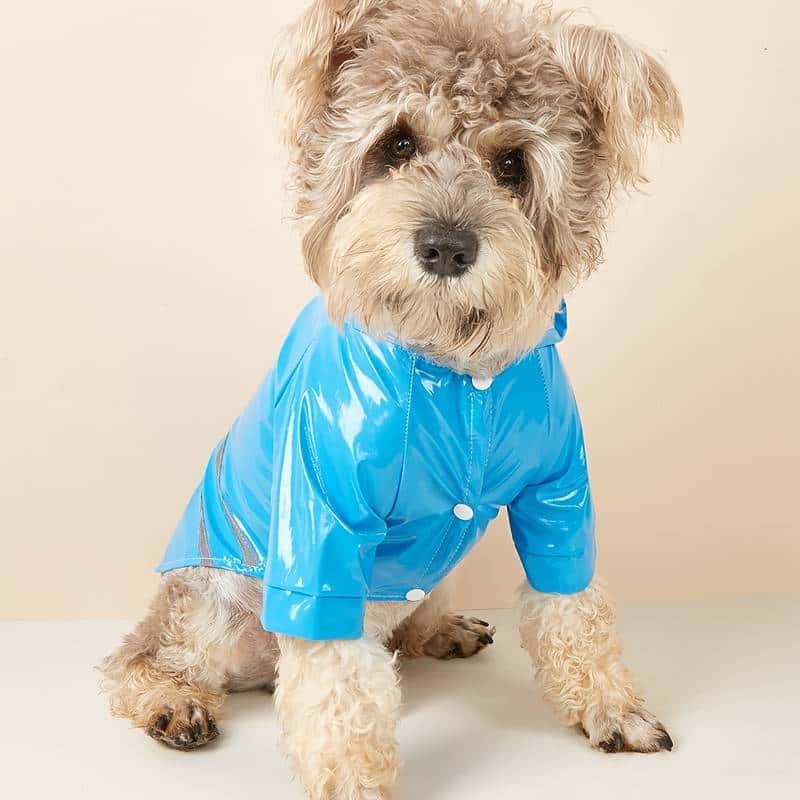 impermeable-pour-chien