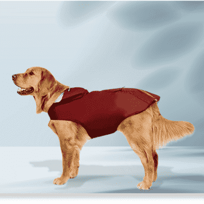 impermeable-pour-chien