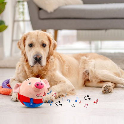 jouet pour chien Pingo doux