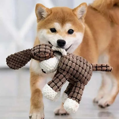 jouet-pour-chien-corde-à-mâcher