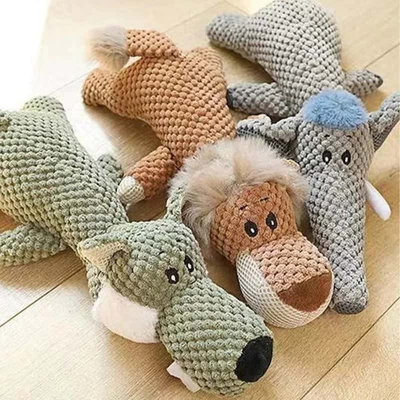 jouet-pour-chien-marrant