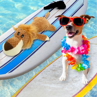 jouet pour chien résistant AnimalsToy