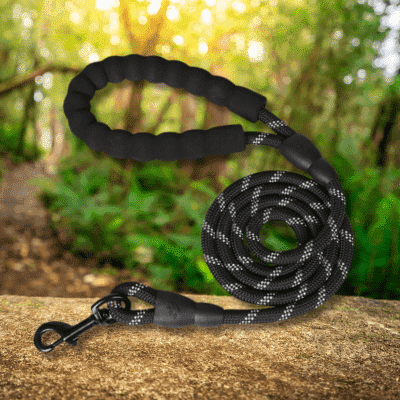 Laisse pour chien | LeashPet