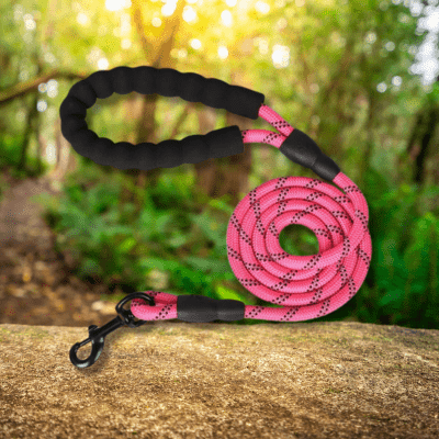 Laisse pour chien | LeashPet
