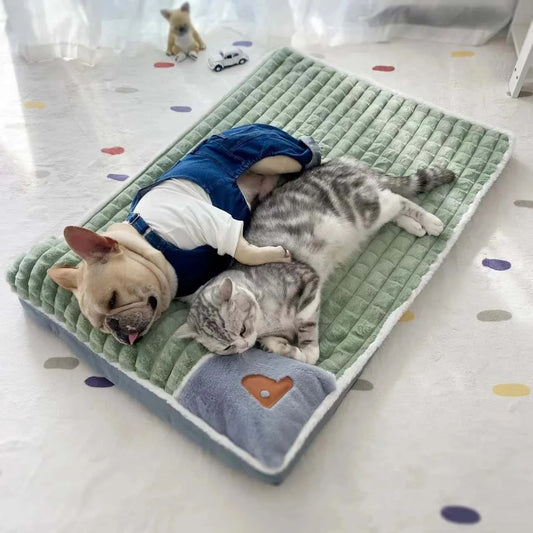lit-chien-reposant