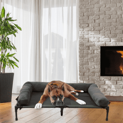 lit de camp pour chien Bed L