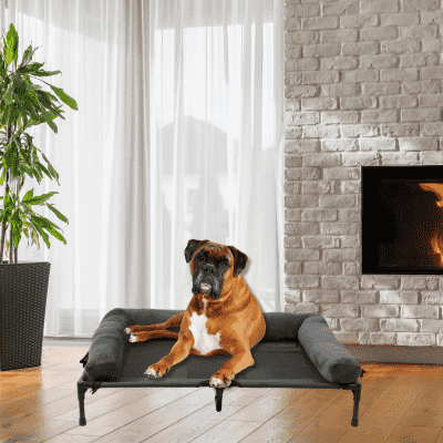 lit de camp pour chien Bed M