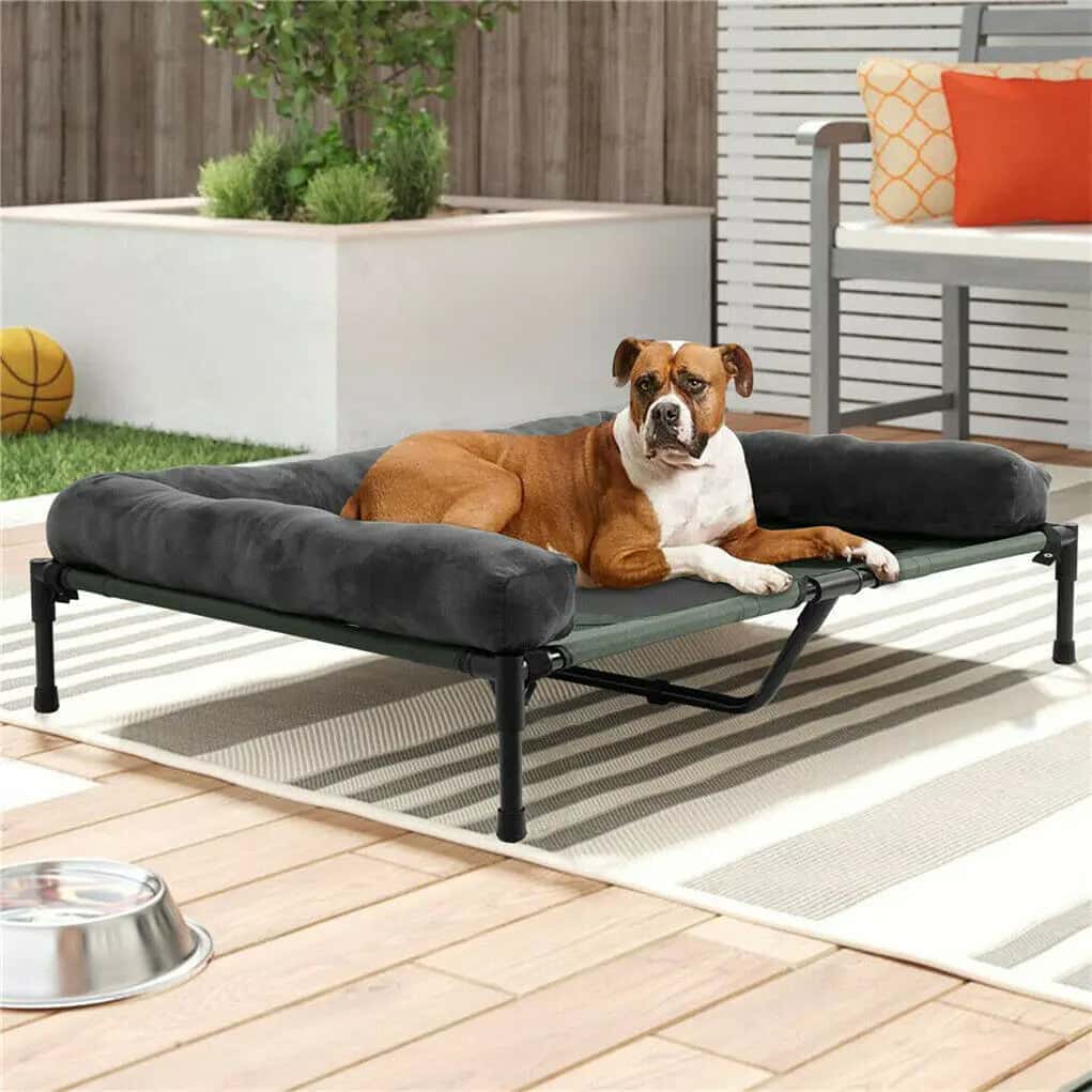 lit de camp pour chien Bed pour grand chien