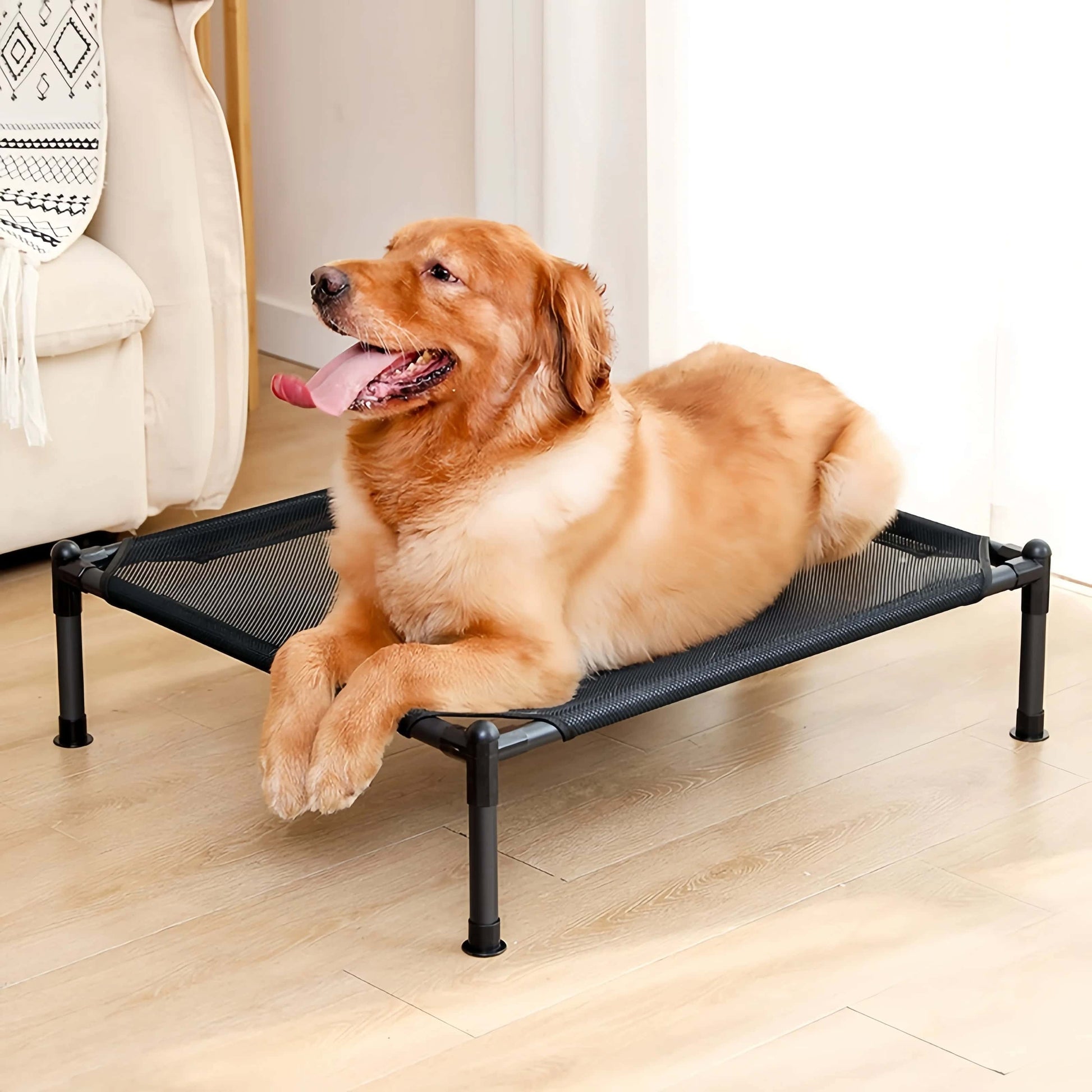 lit de camp pour chien camps confortable