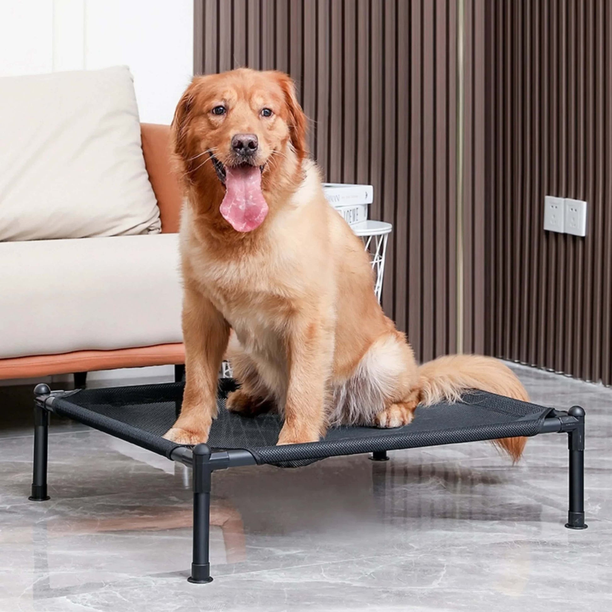 lit de camp pour chien camps