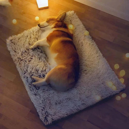 lit pour chien BedCosy auto chauffant
