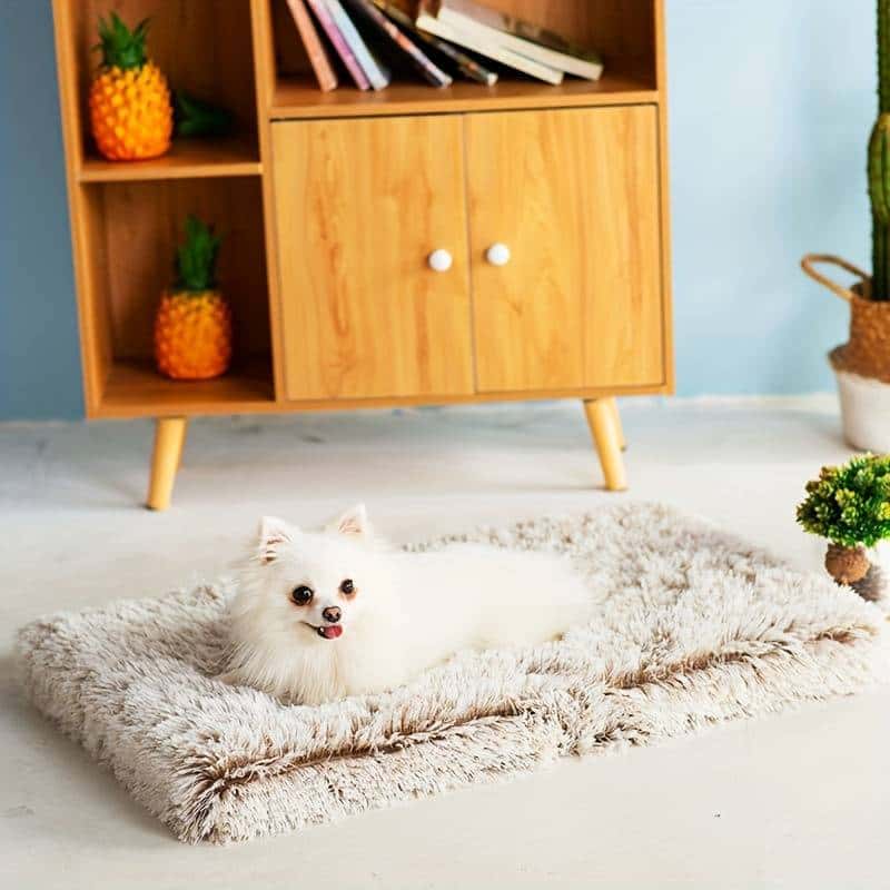 lit pour chien BedCosy doux