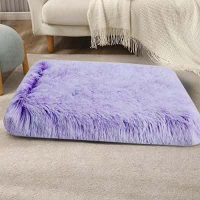 lit pour chien BedCosy violet