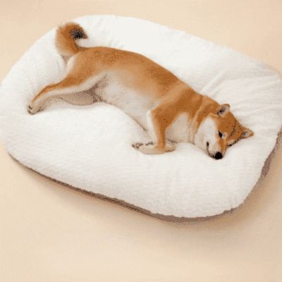 lit pour chien Duffel confortable