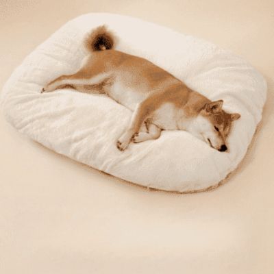 lit pour chien Duffel moelleux