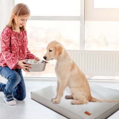 lit pour chien PetCushion  imperméable