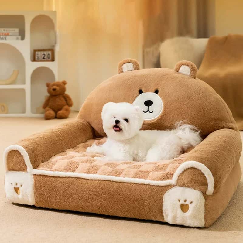 lit-pour-chien-Teddy
