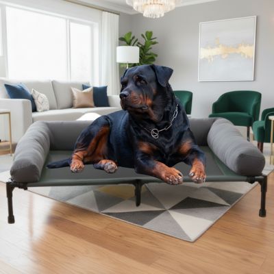 lit pour chien bed facile d'entretien