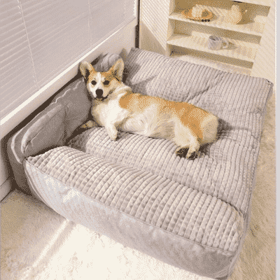 lit pour chien confortable BigBed