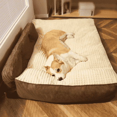 lit pour chien doux BigBed