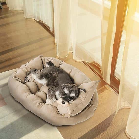 lit-pour-chien-esthetique
