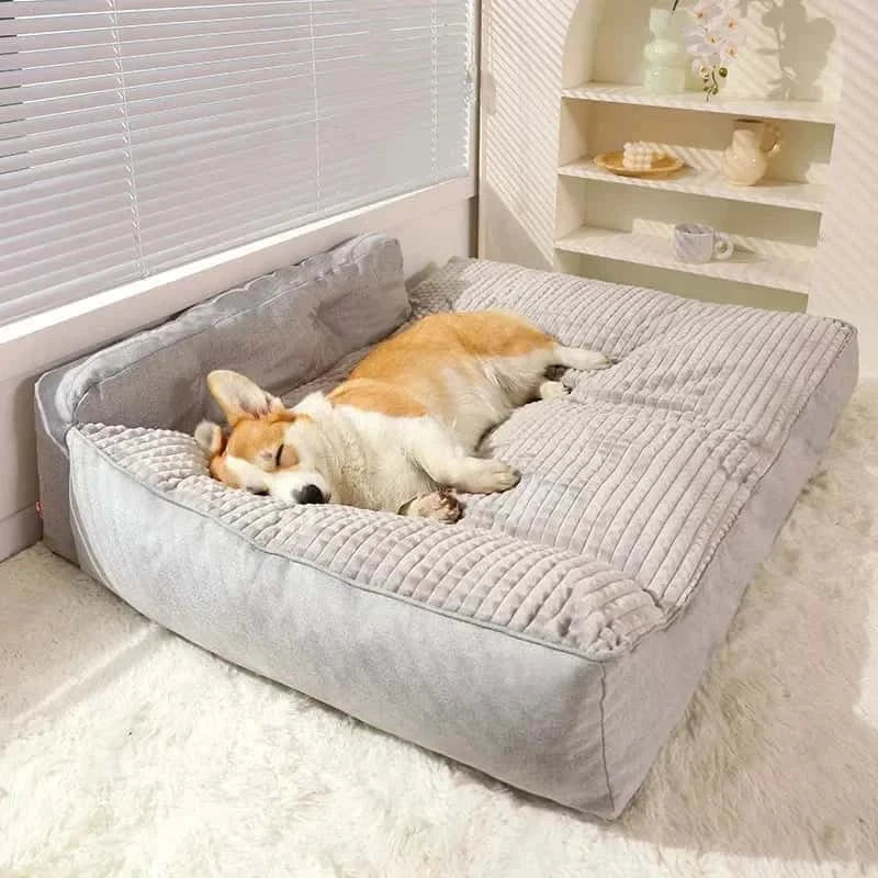 lit pour chien gris BigBed