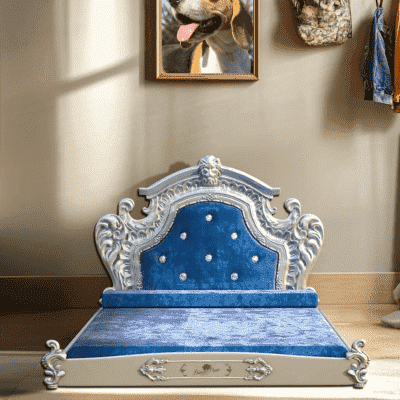 lit pour chien luxueux