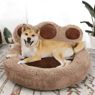 lit-pour-chien-moelleux