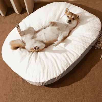 lit pour chien ultra moelleux Duffel