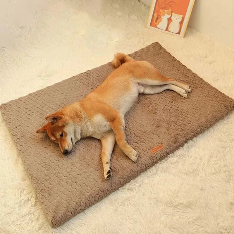 matelas-pour-chien-marron