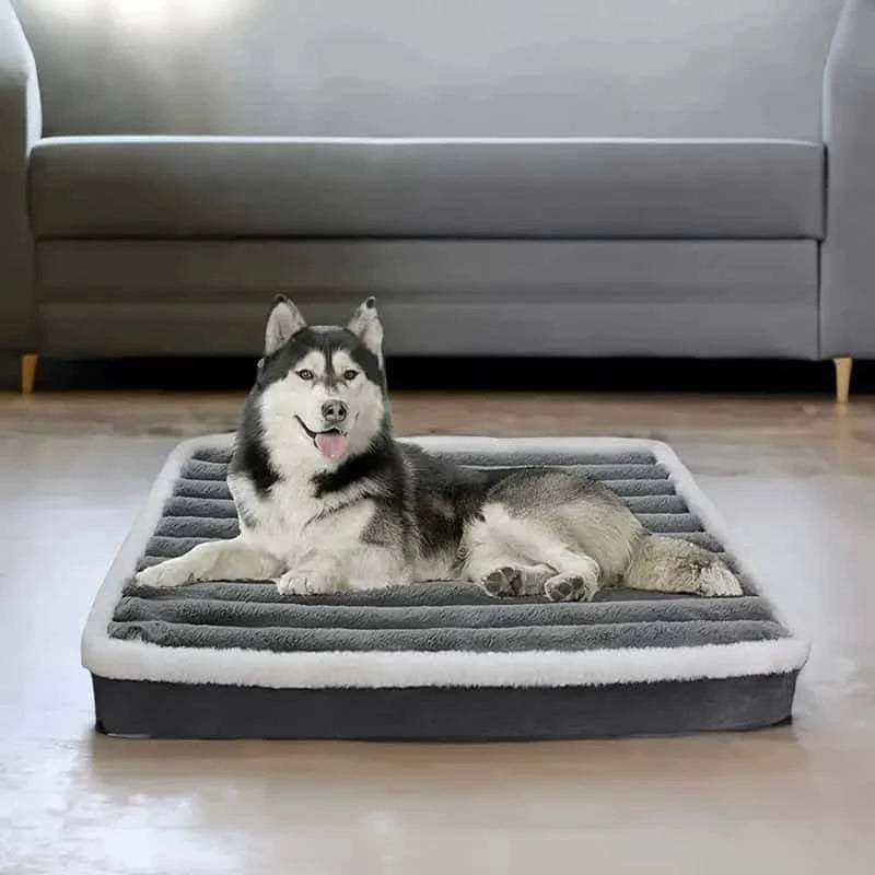 matelas-pour-chien-orthopédique-moelleux
